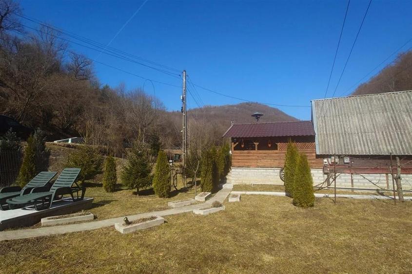 Iaz de vanzare in Apuseni- cazare, agrement si pescuit la DN74 - 15