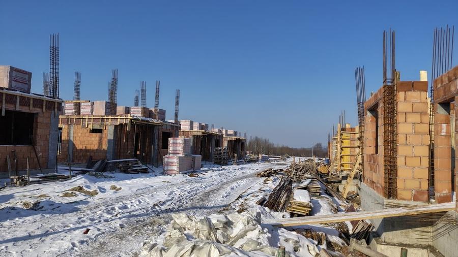 Vile individuale padurea Rosu - 15