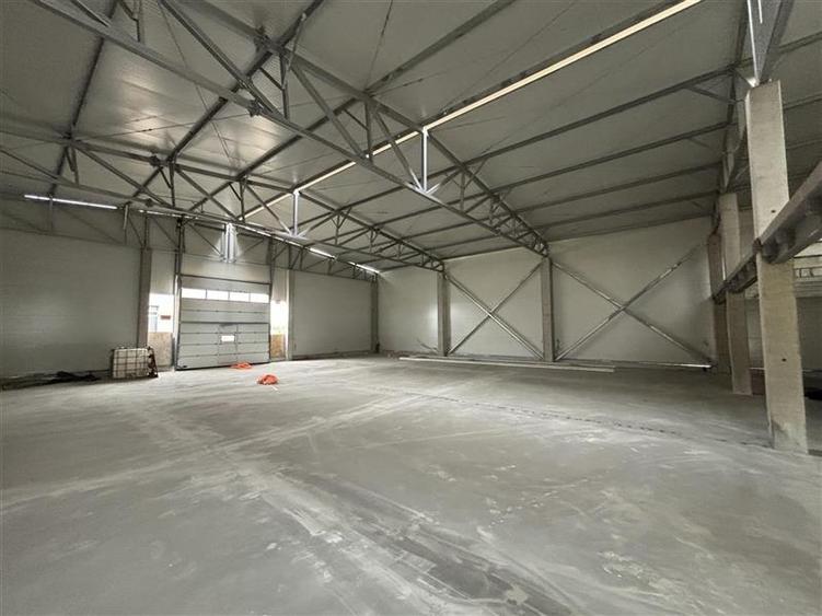 Inchiriere hala/depozit/spatiu industrial Magurele - Atomistilor, ILFOV - 4