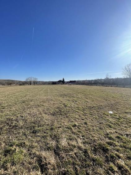 Teren intravilan 2150mp Tureni - 8