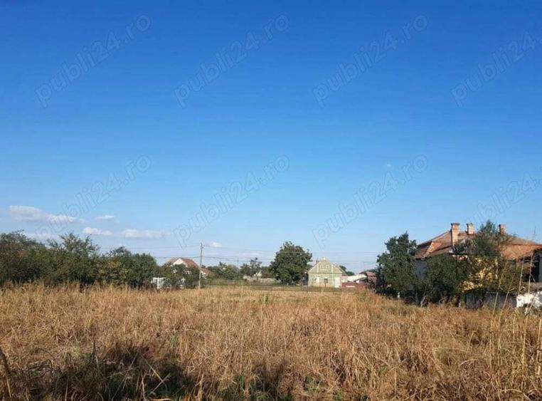 Casa Beregsau Mic caramida strada principala ,teren mare - 3