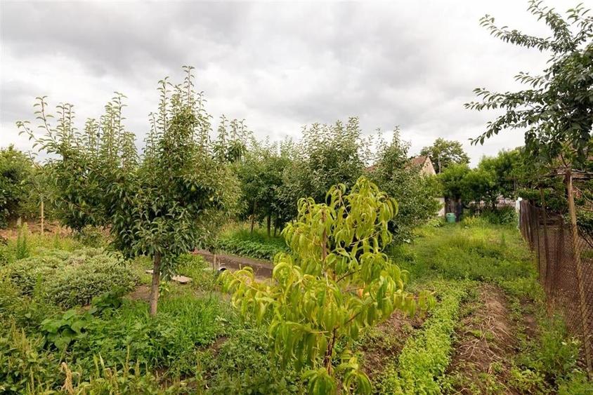 RECO Casa de vanzare zona Horia - 16