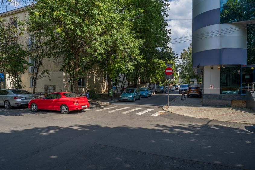 Vila Primaverii (de nădejde), S+P+1+M, 389 mp teren, 266 teren liber - 6