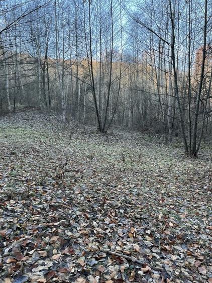 Teren de 15000 mp, în Valea