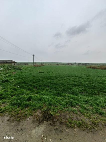 Teren 7.061 mp de vanzare Dropia, Tortomanu | 5/mp | Parcelabil - 3