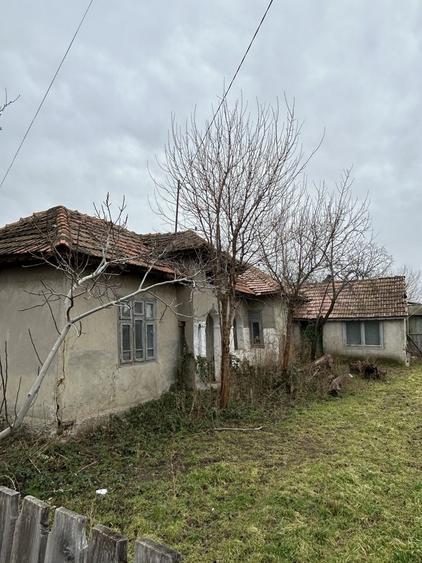 Teren Tintesti 1000 mp + Casa Demolabila - 4