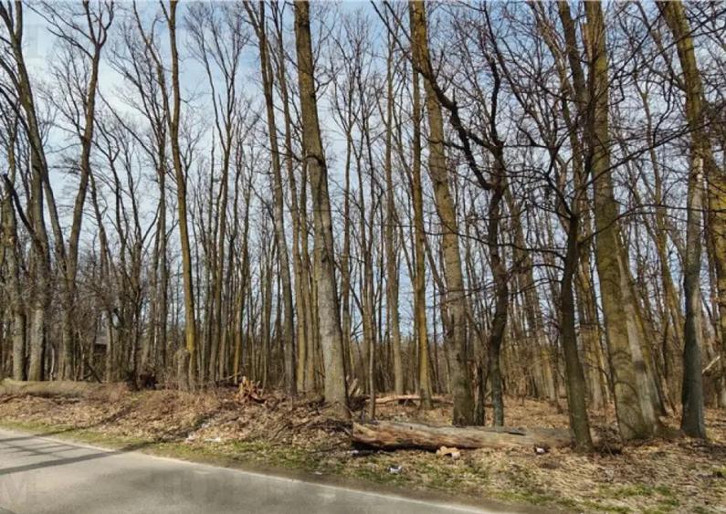 Teren / Padure in Corbeanca - Radarului - 1