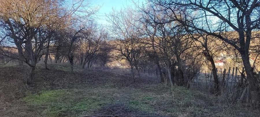 Proprietar vand casa! - 3