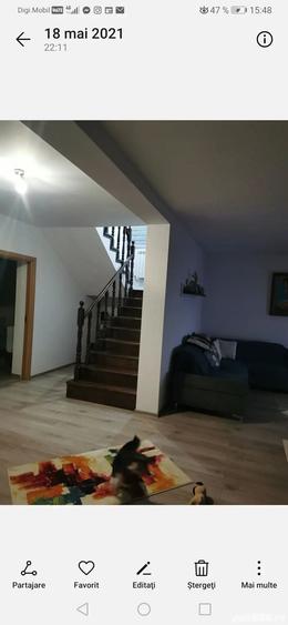 vand casa - 9