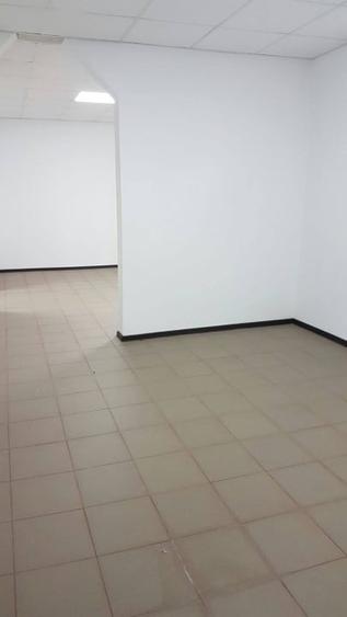 Proprietar - Blv., posibil rez+com, cu chirias, potențial ridicat - 9