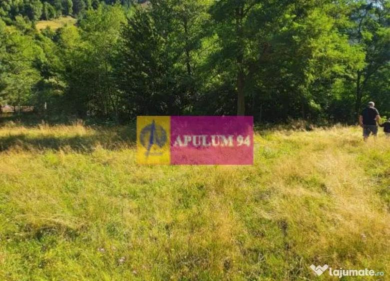 Teren Jude?ul Valcea - Brezoi, Valea lui Stan - 15