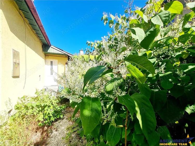 Spatiu pretabil activitati birouri, ateliere copii, recreere adulti, acces stradal, curte proprie, R - 5