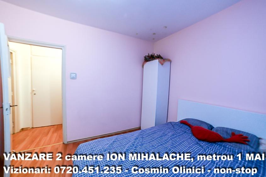 Ion Mihalache - 10