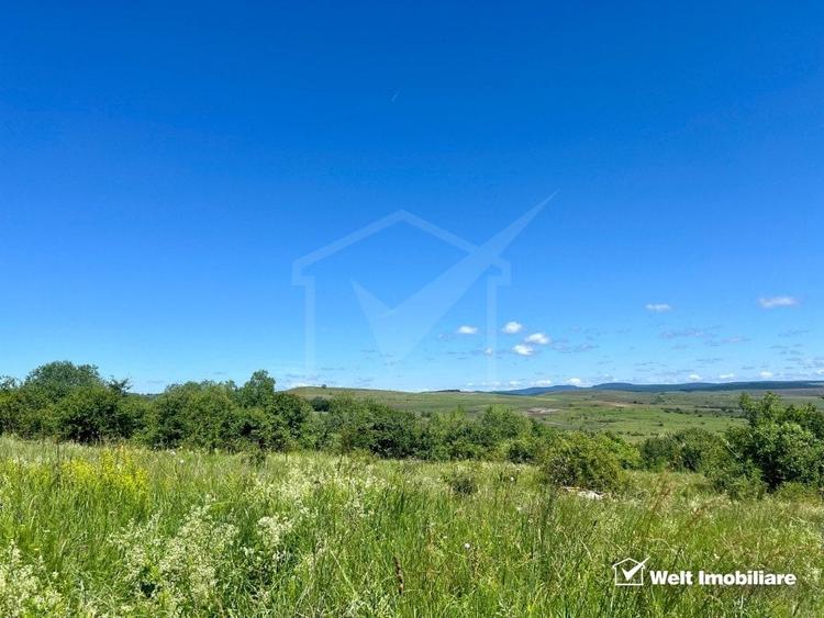 Oportunitate investitie, Chinteni, zona Macicas 31.600 MP - 2