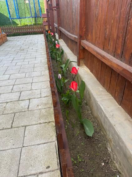 Apartament+ Curte Individuala in Bloc cu doar 4 apartamente - 9