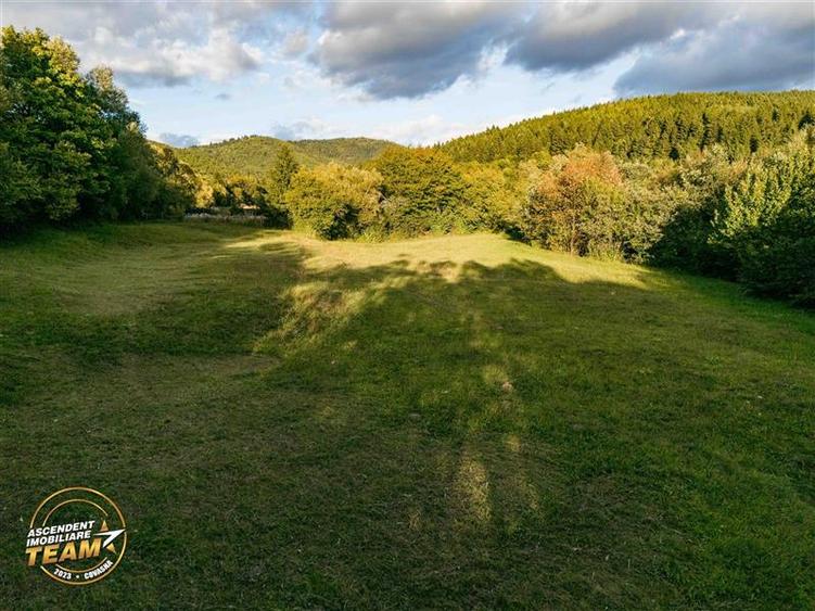 FILM! Teren extravilan, Ojdula, 4.800 mp, zona pitoreasca - 4