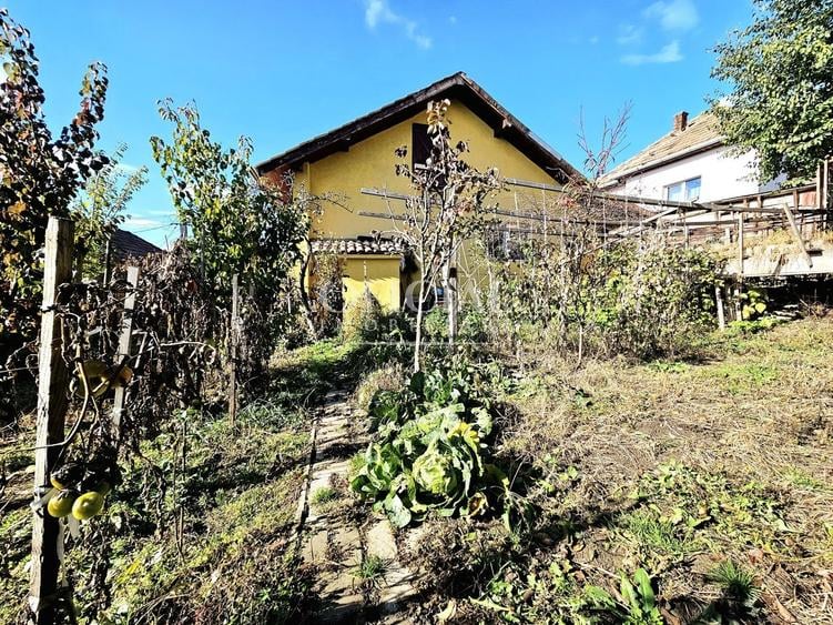 Casa individuala | 3 Camere | Teren 477 mp | Cartier Dambul Rotund! - 8