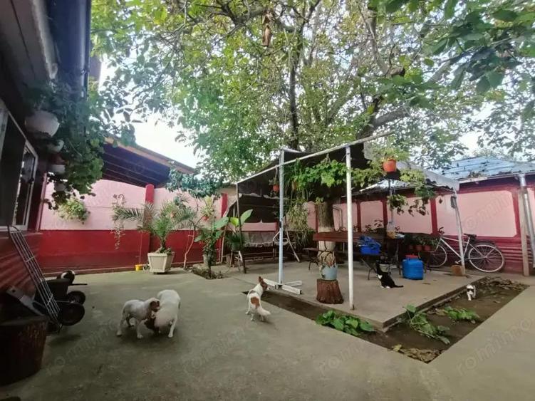 Casa 4 cam 120m utili teren 1000 mp Mobilata Chiscani - 5