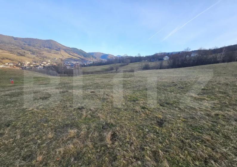 Teren intravilan de 16667 mp, Sosea de Centura, Abrud - 5