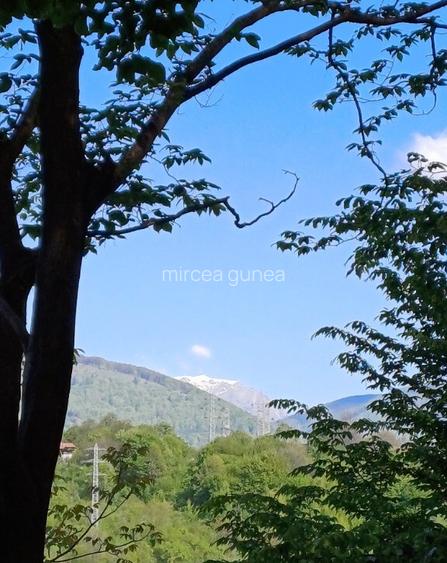 Casa pentru iubitorii de natura pe dealurile Comarnicului Casa pentru iubitorii de natura pe dealurile Comarnicului