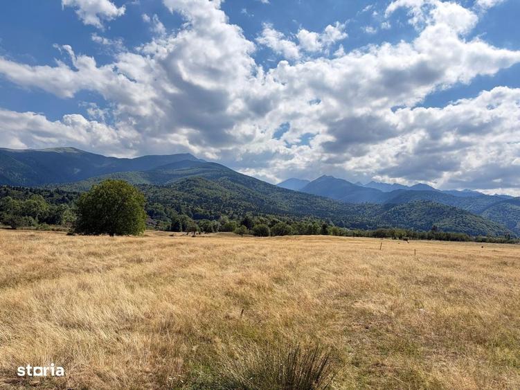 TEREN INTRAVILAN 17.781 MP SAMBATA DE SUS Vedere spre Muntii Fagaras - 1