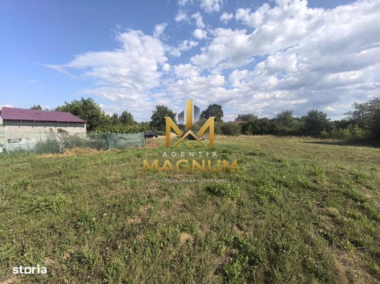 Spațiu comercial, în Bușag