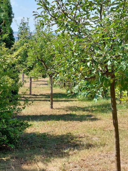 Casă cu Teren 1100 Mp în Central