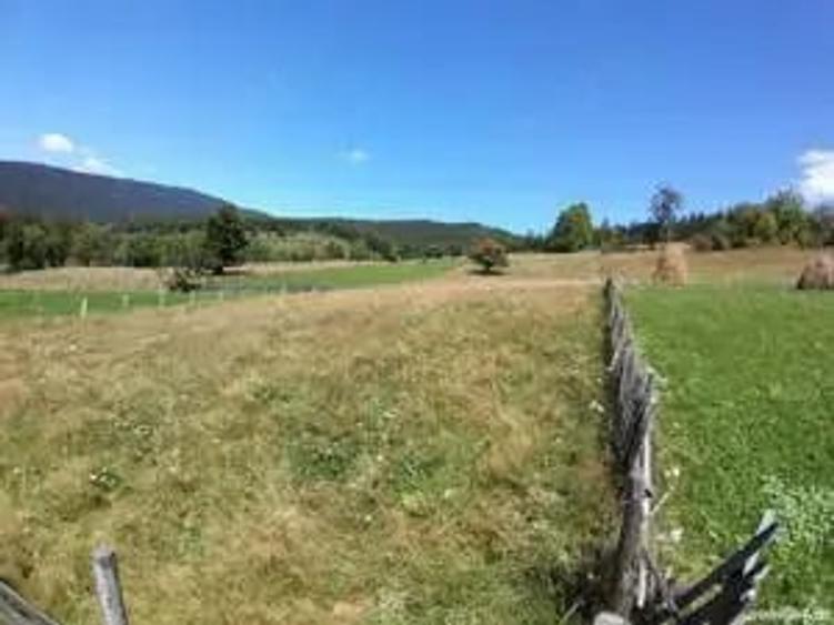 Teren de 2500 mp, în Valea Doftanei