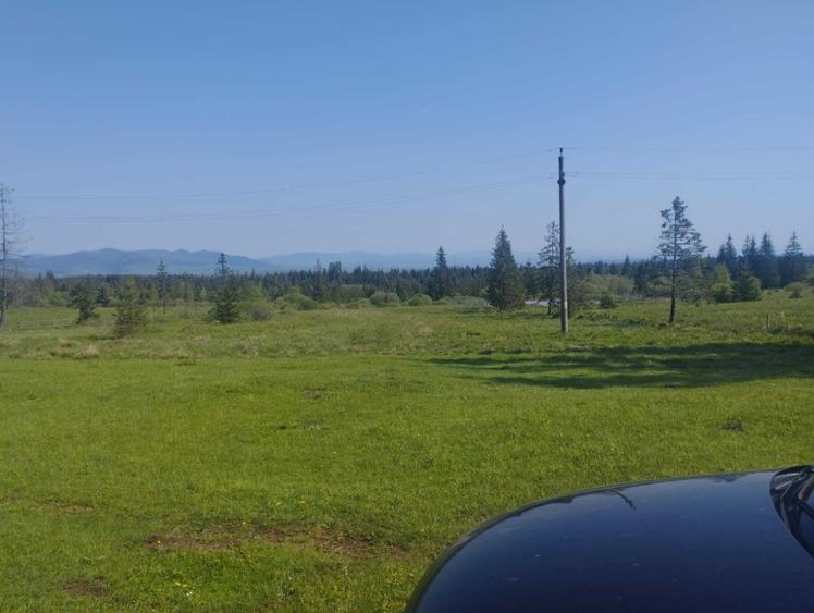 Teren de 1000 mp, în Beliș
