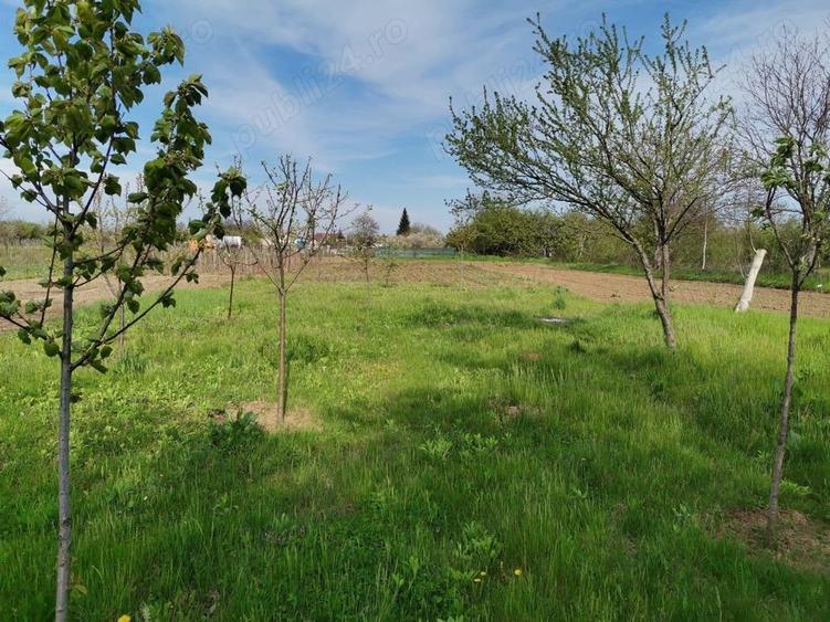 Casă cu 2 camere cu Teren 1411 Mp în Lipia
