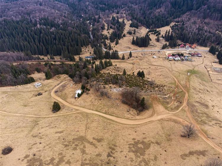 Teren Construcții intravilan de 6500 mp, în Poiana Brașov