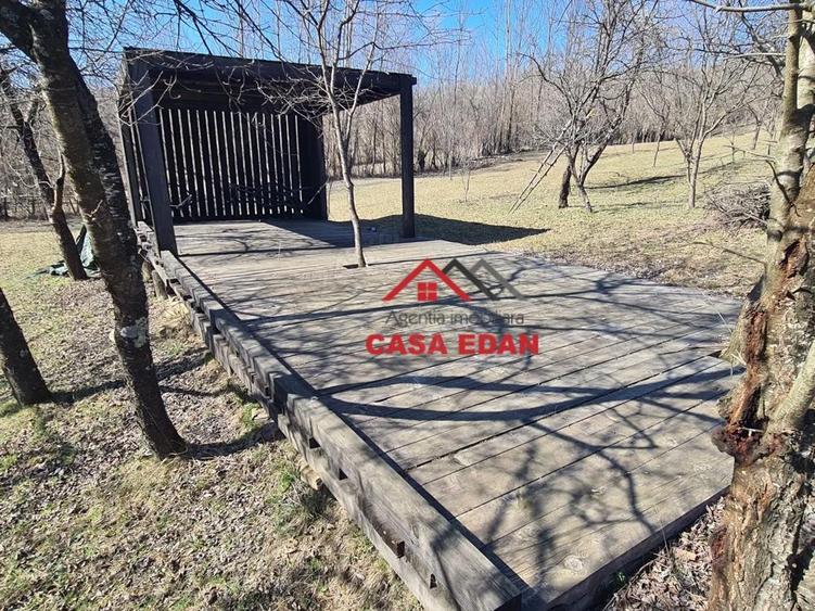 Teren extravilan in Brebu(Pietriceaua)--9104mp--50.000e - 8