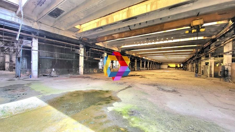 Hala - 8062 mp  # plus-imo.ro - 3