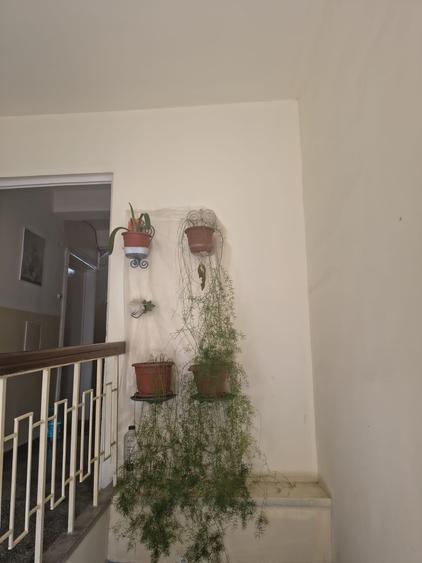 PLAJA MODERN 3 CAMERE, 2 BALCOANE SIMPLU, 72 MP PRET 145000 EURO - 14