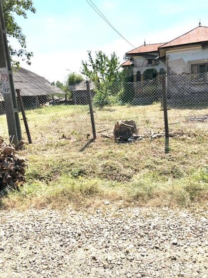 Mosoaia - casuta - Padurea Trivale - Teren intravilan - 11.275 mp/  4300 padure - 7