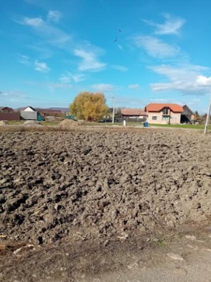 Teren Construcții intravilan de 1853 mp, în Lunca Calnicului