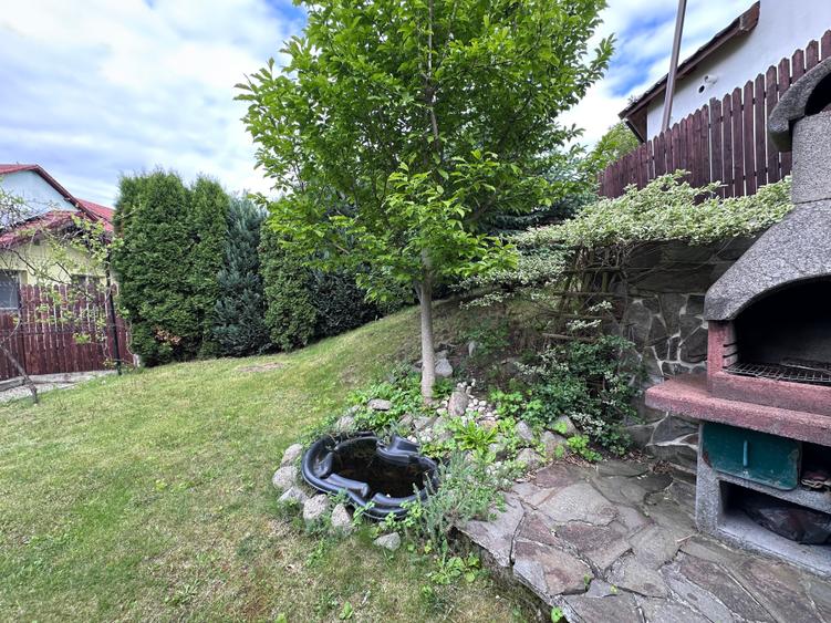 Doua proprietati in aceeasi curte de vanzare in Manastur - 9