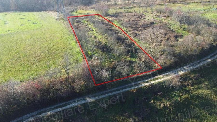 Teren de vanzare in Curtea de Arge?. - 1