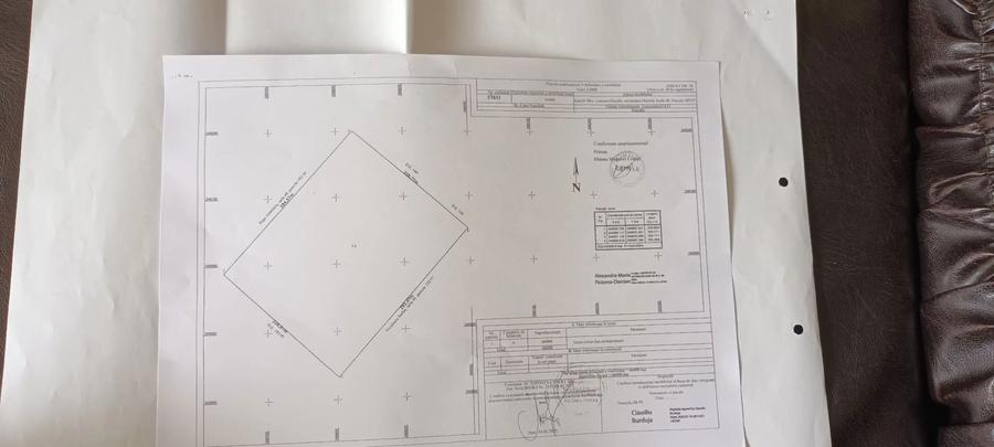 Teren intravilan de vanzare tarlaua 48 Dascalu Ilfov 66000 mp - 8