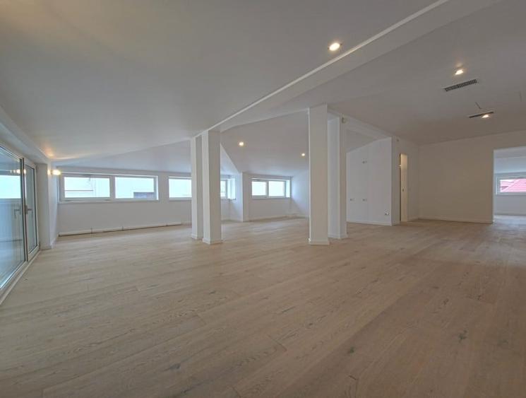 Vila recent renovata Dorobanti - 12