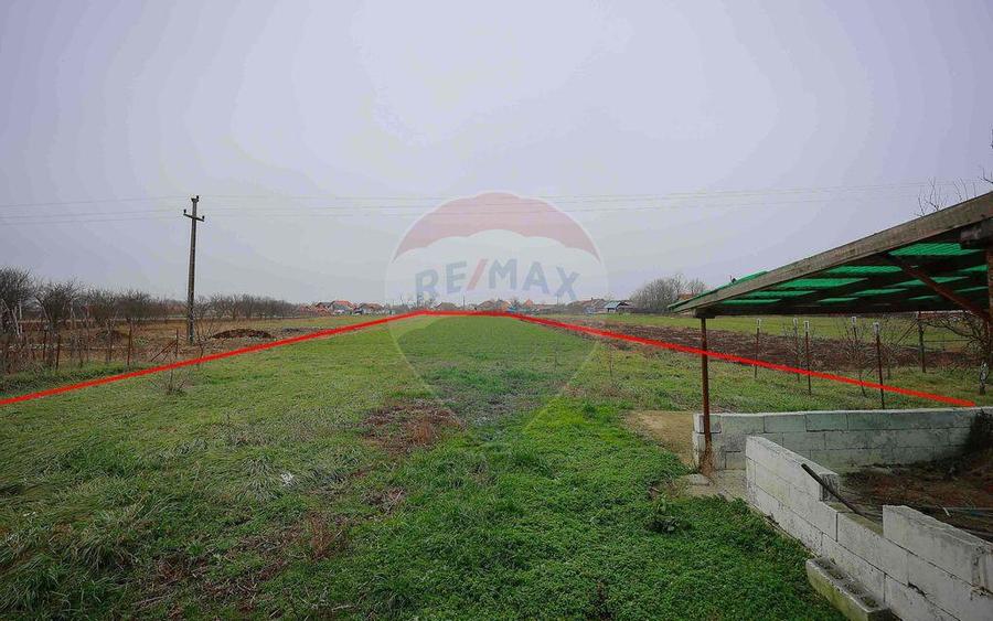 Casa cu teren de 3474 mp in Sannicolau Roman - 4