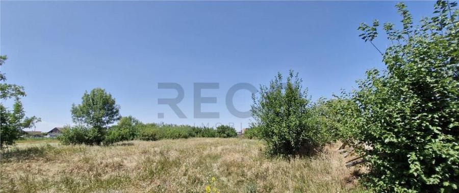 RECO Teren intravilan in Madaras-Ianosda 1420mp - 5