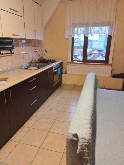 Apartament 2 camere 57mp la mansarda, Turnisor - 8