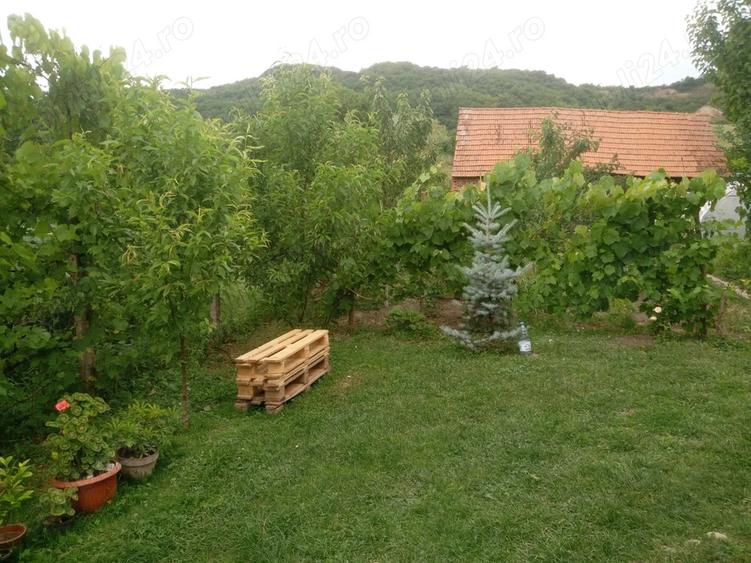 Vand casa in Amna? - 6