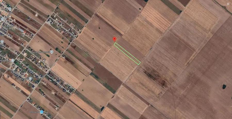 Teren Extravilan In Rate Primaverii Com. Berceni | 5901mp | #EG40 - 1