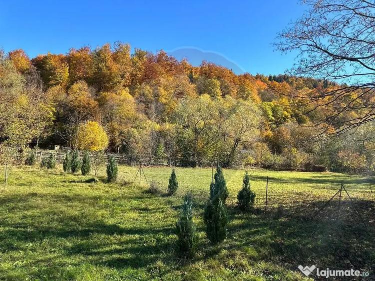 Teren de vanzare Cuiejdel 1350 mp - 13