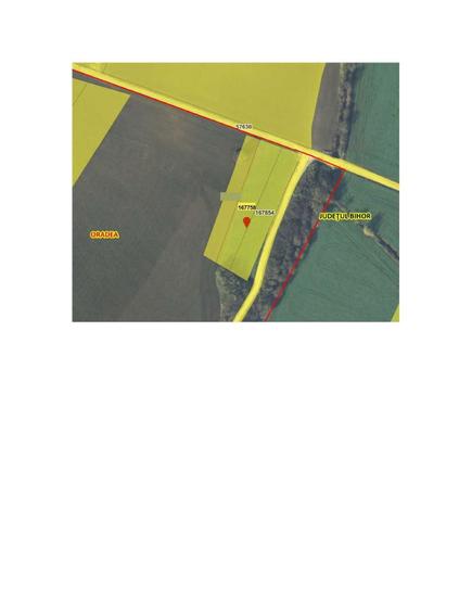 teren extravilan in Episcopia Bihor - 1