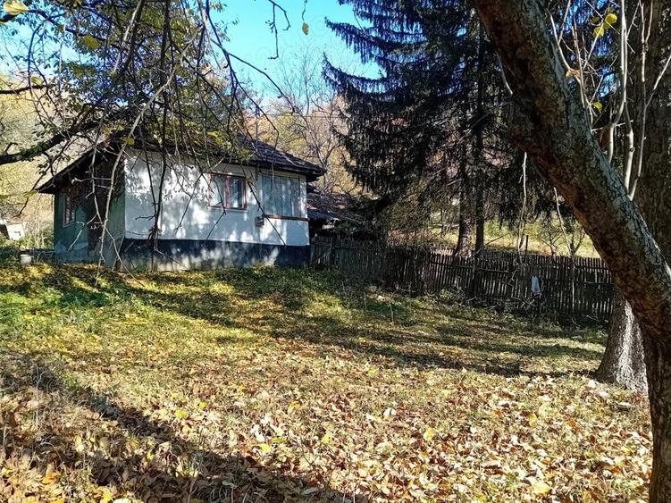 Casa + teren de vacanta Scorteni , Mislea - 2