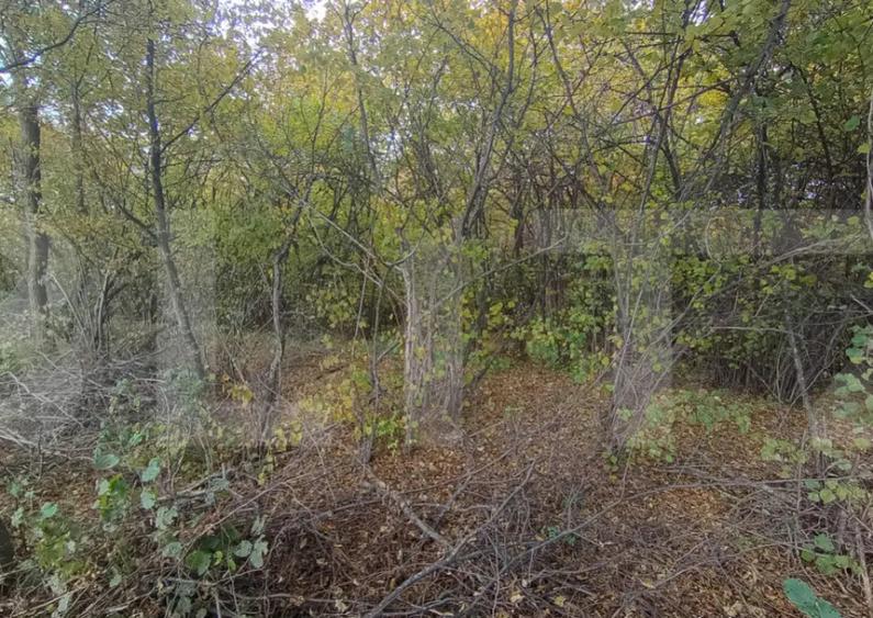 Teren de investitie 1256 mp - 1