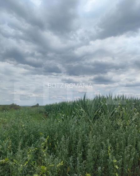 Teren extravilan, 3500mp, Radauti Teren extravilan, 3500mp, Radauti